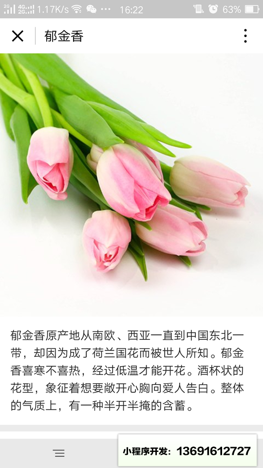 花加FlowerPlus小程序截图